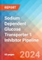 Sodium Dependent Glucose Transporter 1 (SGLT1) Inhibitor - Pipeline Insight, 2024 - Product Image