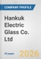 Hankuk Electric Glass Co. Ltd. Fundamental Company Report Including Financial, SWOT, Competitors and Industry Analysis - Product Thumbnail Image
