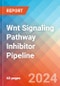 Wnt Signaling Pathway Inhibitor - Pipeline Insight, 2024 - Product Thumbnail Image