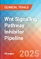 Wnt Signaling Pathway Inhibitor - Pipeline Insight, 2024 - Product Thumbnail Image