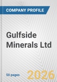 Gulfside Minerals Ltd. Fundamental Company Report Including Financial, SWOT, Competitors and Industry Analysis- Product Image