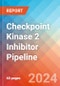 Checkpoint Kinase 2 (Chk2) Inhibitor - Pipeline Insight, 2024 - Product Image