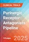 Purinergic Receptor (Purinoceptor) Antagonists - Pipeline Insight, 2024 - Product Thumbnail Image