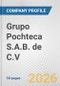 Grupo Pochteca S.A.B. de C.V. Fundamental Company Report Including Financial, SWOT, Competitors and Industry Analysis - Product Thumbnail Image