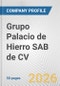 Grupo Palacio de Hierro SAB de CV Fundamental Company Report Including Financial, SWOT, Competitors and Industry Analysis - Product Thumbnail Image