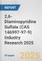 2,6-Diaminopyridine Sulfate (CAS 146997-97-9) Industry Research 2025: Global and Regional Market Trends 2019-2024 and Forecast to 2029 - Product Thumbnail Image