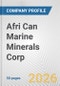 Afri Can Marine Minerals Corp. Fundamental Company Report Including Financial, SWOT, Competitors and Industry Analysis - Product Thumbnail Image