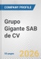 Grupo Gigante SAB de CV Fundamental Company Report Including Financial, SWOT, Competitors and Industry Analysis - Product Thumbnail Image