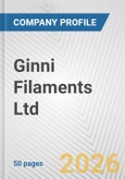 Ginni Filaments Ltd. Fundamental Company Report Including Financial, SWOT, Competitors and Industry Analysis- Product Image