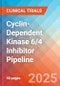 Cyclin-Dependent Kinase 6/4 (CDK6/4) Inhibitor - Pipeline Insight, 2024 - Product Image