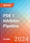 PDE 1 Inhibitor - Pipeline Insight, 2024 - Product Image