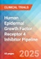 Human Epidermal Growth Factor Receptor 4 (HER-4 or ErbB-4) Inhibitor - Pipeline Insight, 2024 - Product Image