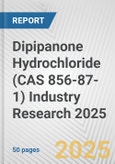 Dipipanone Hydrochloride (CAS 856-87-1) Industry Research 2025: Global and Regional Market Trends 2019-2024 and Forecast to 2029- Product Image