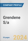Grendene S/a. Fundamental Company Report Including Financial, SWOT, Competitors and Industry Analysis- Product Image