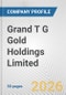 Grand T G Gold Holdings Limited Fundamental Company Report Including Financial, SWOT, Competitors and Industry Analysis - Product Thumbnail Image