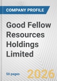 Good Fellow Resources Holdings Limited Fundamental Company Report Including Financial, SWOT, Competitors and Industry Analysis- Product Image