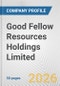 Good Fellow Resources Holdings Limited Fundamental Company Report Including Financial, SWOT, Competitors and Industry Analysis - Product Thumbnail Image