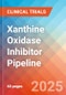 Xanthine Oxidase Inhibitor - Pipeline Insight, 2024 - Product Thumbnail Image