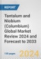 Tantalum and Niobium (Columbium) Global Market Review 2024 and Forecast to 2033 - Product Image
