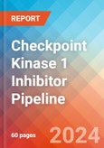 Checkpoint Kinase 1 (Chk1) Inhibitor - Pipeline Insight, 2024- Product Image