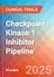 Checkpoint Kinase 1 (Chk1) Inhibitor - Pipeline Insight, 2024 - Product Thumbnail Image