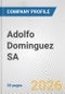 Adolfo Dominguez SA Fundamental Company Report Including Financial, SWOT, Competitors and Industry Analysis - Product Thumbnail Image