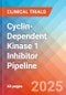 Cyclin-Dependent Kinase 1 (CDK1) Inhibitor - Pipeline Insight, 2024 - Product Image