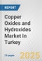 Copper Oxides and Hydroxides Market in Turkey: Business Report 2024 - Product Thumbnail Image