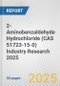 2-Aminobenzaldehyde Hydrochloride (CAS 51723-15-0) Industry Research 2025: Global and Regional Market Trends 2019-2024 and Forecast to 2029 - Product Thumbnail Image