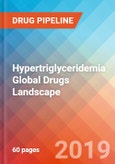 Hypertriglyceridemia - Global API Manufacturers, Marketed and Phase III Drugs Landscape, 2019- Product Image