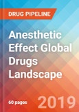 Anesthetic Effect - Global API Manufacturers, Marketed and Phase III Drugs Landscape, 2019- Product Image