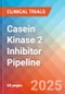 Casein Kinase 2 Inhibitor - Pipeline Insight, 2024 - Product Thumbnail Image