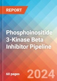 Phosphoinositide 3-Kinase Beta (PI3K Beta) Inhibitor - Pipeline Insight, 2024- Product Image