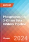 Phosphoinositide 3-Kinase Beta (PI3K Beta) Inhibitor - Pipeline Insight, 2024 - Product Image