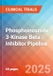 Phosphoinositide 3-Kinase Beta (PI3K Beta) Inhibitor - Pipeline Insight, 2024 - Product Thumbnail Image