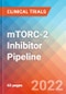 mTORC-2 Inhibitor - Pipeline Insight, 2022 - Product Thumbnail Image