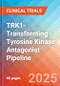 TRK1-Transforming Tyrosine Kinase (Trk-A or High Affinity Nerve Growth Factor Receptor) Antagonist - Pipeline Insight, 2024 - Product Thumbnail Image