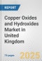 Copper Oxides and Hydroxides Market in United Kingdom: Business Report 2024 - Product Thumbnail Image