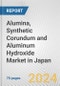 Alumina, Synthetic Corundum and Aluminum Hydroxide Market in Japan: Business Report 2024 - Product Thumbnail Image