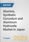 Alumina, Synthetic Corundum and Aluminum Hydroxide Market in Japan: Business Report 2025 - Product Thumbnail Image