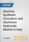 Alumina, Synthetic Corundum and Aluminum Hydroxide Market in Italy: Business Report 2024 - Product Thumbnail Image