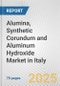 Alumina, Synthetic Corundum and Aluminum Hydroxide Market in Italy: Business Report 2025 - Product Thumbnail Image