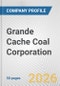 Grande Cache Coal Corporation Fundamental Company Report Including Financial, SWOT, Competitors and Industry Analysis - Product Thumbnail Image