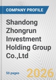 Shandong Zhongrun Investment Holding Group Co.,Ltd. Fundamental Company Report Including Financial, SWOT, Competitors and Industry Analysis- Product Image