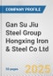 Gan Su Jiu Steel Group Hongxing Iron & Steel Co Ltd Fundamental Company Report Including Financial, SWOT, Competitors and Industry Analysis - Product Image