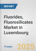 Fluorides, Fluorosilicates Market in Luxembourg: Business Report 2025- Product Image