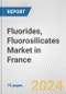 Fluorides, Fluorosilicates Market in France: Business Report 2024 - Product Image