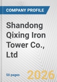 Shandong Qixing Iron Tower Co., Ltd. Fundamental Company Report Including Financial, SWOT, Competitors and Industry Analysis- Product Image