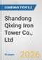 Shandong Qixing Iron Tower Co., Ltd. Fundamental Company Report Including Financial, SWOT, Competitors and Industry Analysis - Product Thumbnail Image