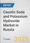 Caustic Soda and Potassium Hydroxide Market in Russia: Business Report 2024 - Product Image